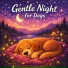 Dog Sleep Lab