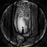 Neargroth