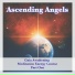 Ascending Angels
