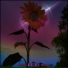 Cr00dly feat. XLOUD