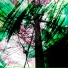 incasation