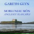 Gareth Glyn
