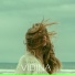 VIDINA