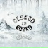 icyDice
