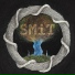 SMiT