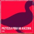 Cypis