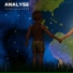 Analyse