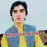 Akbar Shah Nikzad