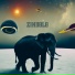 Zindolo