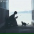 DayFox
