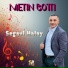 Metin Boti