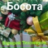 Валерий Тихомиров