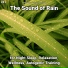 Calming Sounds, Rain Sounds, Nature Sounds