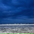 barletta