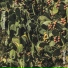 Pufuleti, Joe Space