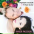 Peter Kater, Tina Guo