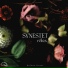 Hélène Duret, Synestet