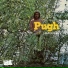 Pugh Rogefeldt
