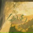 黄晨晨