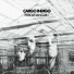 Cargo Indigo