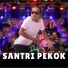 Demy