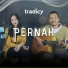tradicy