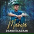 Ramin Karami