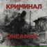 ONEANDR