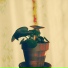 beet