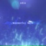 sdlx