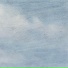 Coq