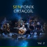 Bülent Ortaçgil feat. Birsen Tezer