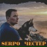 SERPO