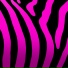 Pinkzebra