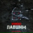 03406(И.С.)