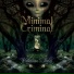 minimal crimina l 16