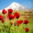 Sarman Rafiee