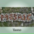 Yasno