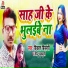 Vikash Bisleri, Mintu Chulbuli
