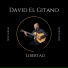 David El Gitano