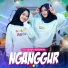 Duo Ageng feat. Ageng Music
