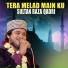 Sultan Raza Qadri