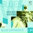 Muddy Waters