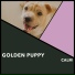 Puppy Music, Puppy Music Therapy