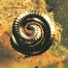 Nine Inch Nails
