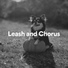Sleeping Music For Dogs