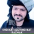 Shoukat Aziz Shoukat