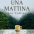 Joe Callier