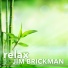 Jim Brickman