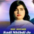 Najaf Javed Magsi